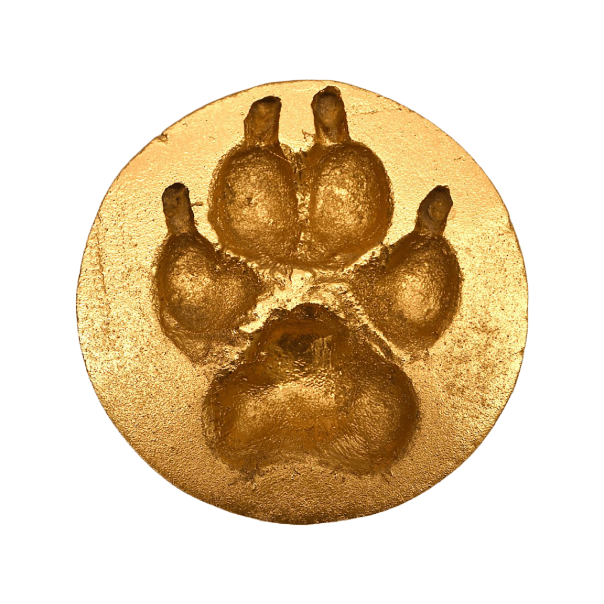CL - Clay Paw Print (dog) - Passing Paws Pet Cremations
