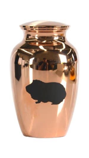 E13 - Exotic Urn - Rose Gold Guinea Pig