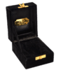 K8 - Gold with Black Paw - Image 2