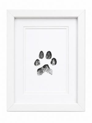FR1 - Ink Print Framed