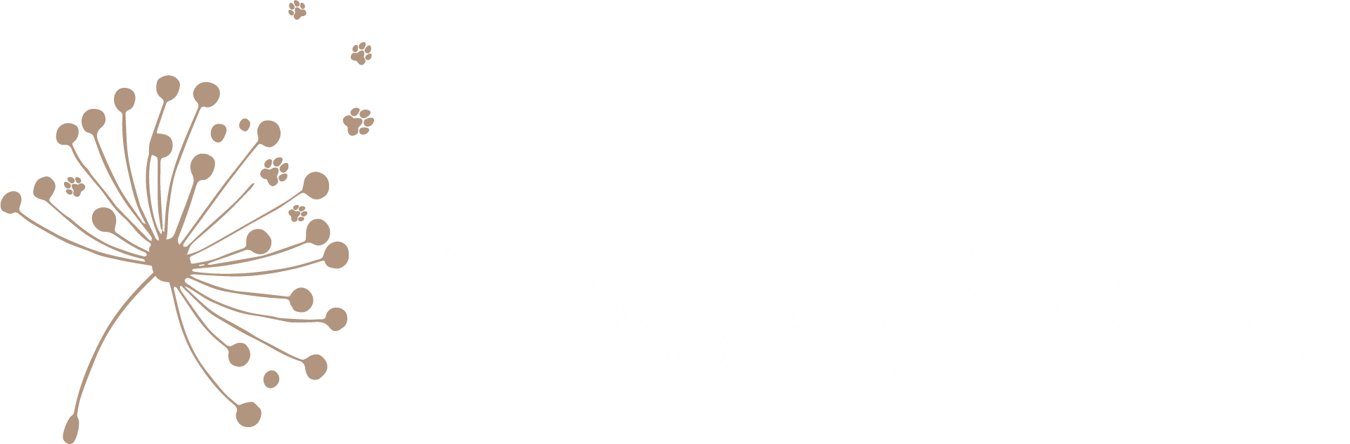 VET Partnership 5